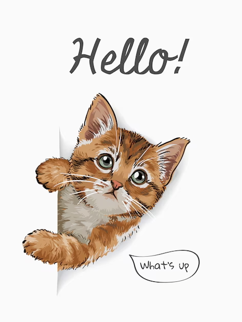 Hello cat